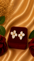 Boucles d'oreilles Rosa